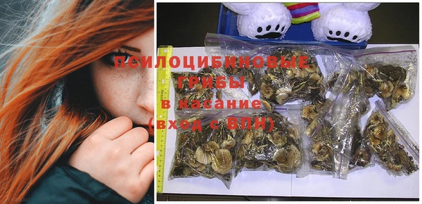дмт Белокуриха