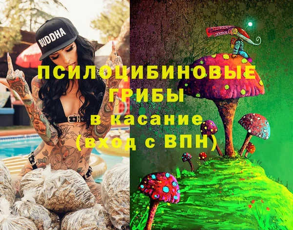 PSILOCYBIN Белоозёрский