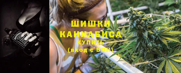 дмт Белокуриха