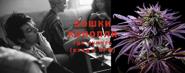 дмт Белокуриха