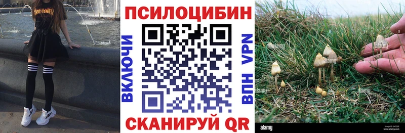сайты даркнета формула  блэк спрут вход  Кораблино  купить закладку  Псилоцибиновые грибы мухоморы 