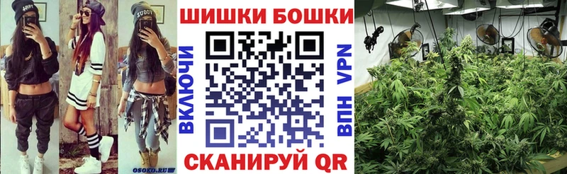 Бошки Шишки ГИДРОПОН  цена   Кораблино 